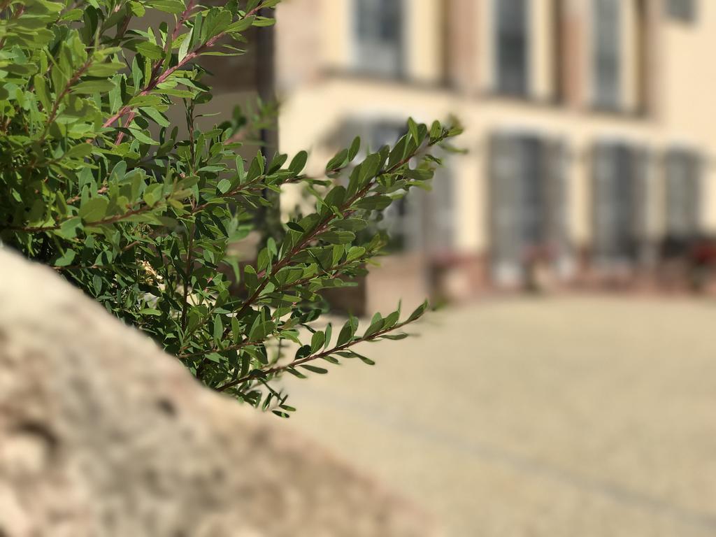 אליאנו טרמה Naturalmente Wine Resort מראה חיצוני תמונה